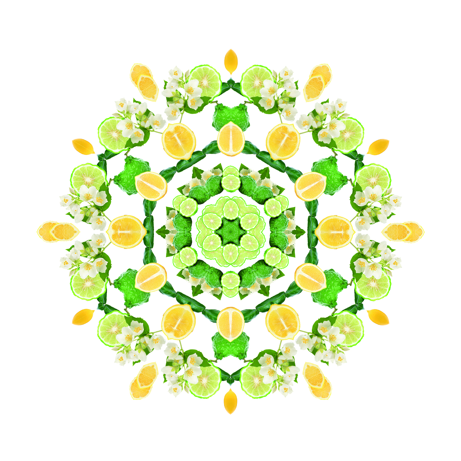 Fleur de Citronnier