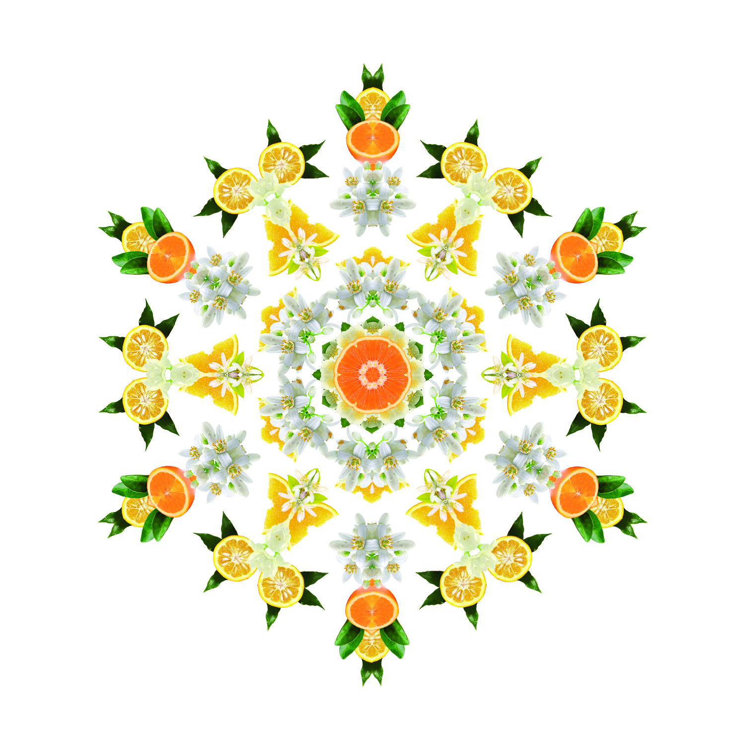 Fleur d'Oranger