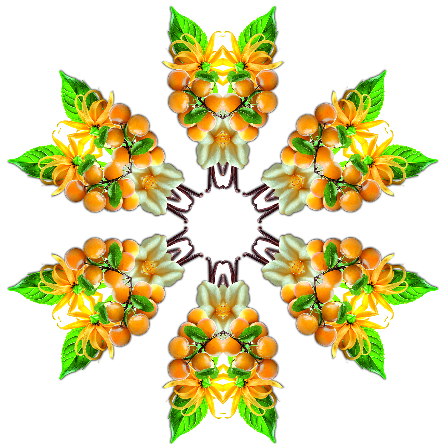 Soleil Fruité