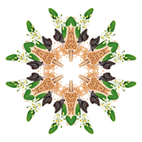 Blé d'Or