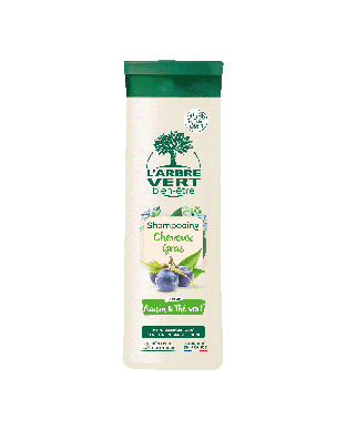 Shampooing écologique pour cheveux gras 250ml