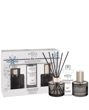 Duo Mini-Duftstäbchen & Mini-Spray Rosalie - Prickelnd wie Champagner