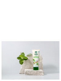Dentifrice écologique Fraîcheur Arôme Menthe Fraîche 75ml | L'ARBRE VERT
