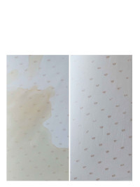 SOS Cleaner 500ml | HAGERTY