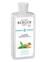 Recharge Lampe L'Instant Thé 500ml | MAISON BERGER Recharge Lampe L'Instant Thé 500ml | MAISON BERGER