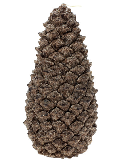 Bougie Pomme de Pin 45H Marron | LA FRANçAISE