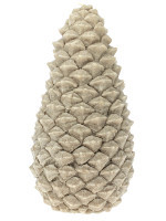Bougie Pomme de Pin 45H Beige | LA FRANçAISE