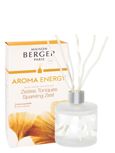 Bouquet parfumé Aroma Energy - Zestes Toniques | MAISON BERGER