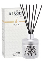 Duftstäbchen Clarity Eisig - Edler Jasmin | MAISON BERGER Duftstäbchen Clarity Eisig - Edler Jasmin | MAISON BERGER