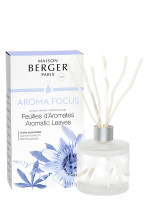 Bouquet parfumé Aroma Focus - Feuilles d'Aromates | MAISON BERGER