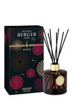 Duftstäbchen Cercle - Prickelnd wie Champagner | MAISON BERGER Duftstäbchen Cercle - Prickelnd wie Champagner | MAISON BERGER
