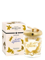 Duftkerze Lolita Lempicka Transparent | MAISON BERGER Duftkerze Lolita Lempicka Transparent | MAISON BERGER