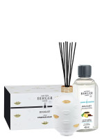 Duftstäbchen Muse - Köstlicher Grüner Tee | MAISON BERGER Duftstäbchen Muse - Köstlicher Grüner Tee | MAISON BERGER