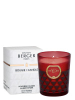 Duftkerze Clarity - Pudriger Amber | MAISON BERGER Duftkerze Clarity - Pudriger Amber | MAISON BERGER