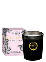 Duftkerze Black Crystal - Delikater Weisser Moschus | MAISON BERGER Duftkerze Black Crystal - Delikater Weisser Moschus | MAISON BERGER