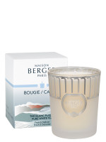 Duftkerze Land Eisig - Reiner Weisser Tee | MAISON BERGER Duftkerze Land Eisig - Reiner Weisser Tee | MAISON BERGER