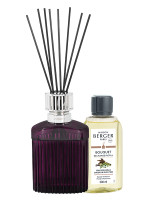 Bouquet parfumé Alpha Prune Scandale - Sous l'Oliveraie | MAISON BERGER Bouquet parfumé Alpha Prune Scandale - Sous l'Oliveraie | MAISON BERGER