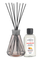 Bouquet parfumé Pyramide Rose Antique - Orange de Cannelle | MAISON BERGER