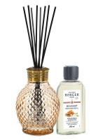 Bouquet parfumé Originelle Miel - Etoile d'Orient | MAISON BERGER