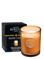 Bougie parfumée Olympe - Pétillance Exquise | MAISON BERGER Bougie parfumée Olympe - Pétillance Exquise | MAISON BERGER