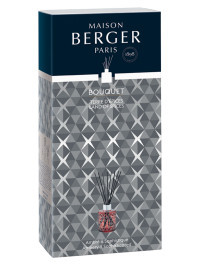 Bouquet parfumé Géode Paprika - Terre d'Épices | MAISON BERGER