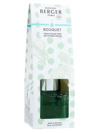 Mini-Bouquet parfumé Dolce Vert - Zeste d'Orange Verte | MAISON BERGER