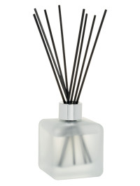 Bouquet parfumé Winter Givré & Sapin Festif | MAISON BERGER