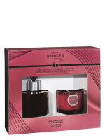 Duo Minis Bouquet et Bougie Duality - Angélique Noire | MAISON BERGER Duo Minis Bouquet et Bougie Duality - Angélique Noire | MAISON BERGER