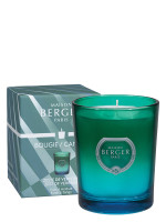 Bougie parfumée Dare Vert Bleu - Zeste de Verveine | MAISON BERGER Bougie parfumée Dare Vert Bleu - Zeste de Verveine | MAISON BERGER