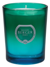 Bougie parfumée Dare Vert Bleu - Zeste de Verveine | MAISON BERGER
