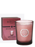 Bougie parfumée Duality Prune - Angélique Noire | MAISON BERGER Bougie parfumée Duality Prune - Angélique Noire | MAISON BERGER