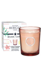 Bougie parfumé Riviera - Citron Tonique | MAISON BERGER Bougie parfumé Riviera - Citron Tonique | MAISON BERGER