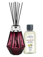 Bouquet parfumé Prisme Grenat - Terre Sauvage | MAISON BERGER