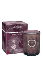 Bougie parfumée Molécule Prune - Sous les Magnolias | MAISON BERGER