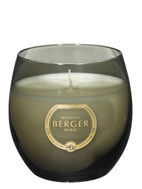 Duftkerze Holly Moosgrau - Pudriger Amber | MAISON BERGER