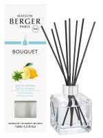 Bouquet parfumé Zeste de Verveine | MAISON BERGER