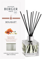 Duftstäbchen Orientalischer Traum | MAISON BERGER Duftstäbchen Orientalischer Traum | MAISON BERGER