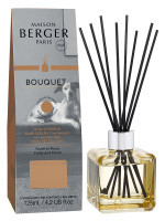 Bouquet parfumé Anti-Odeur Animaux - Fruité & Fleuri | MAISON BERGER