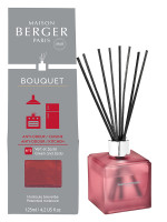 Duftstäbchen Gegen Küchengerüche - Grün & Zitronig | MAISON BERGER Duftstäbchen Gegen Küchengerüche - Grün & Zitronig | MAISON BERGER