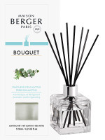 Bouquet parfumé Fraîcheur d'Eucalyptus | MAISON BERGER