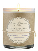 Pflanzliche Duftkerze Lavendel Ernte 180g | PLANTES & PARFUMS Pflanzliche Duftkerze Lavendel Ernte 180g | PLANTES & PARFUMS