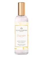 Raumduft Cassiopée 100ml | PLANTES & PARFUMS Raumduft Cassiopée 100ml | PLANTES & PARFUMS
