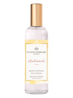 Parfum d'intérieur Andromède 100ml | PLANTES & PARFUMS