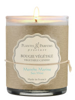 Bougie parfumée Menthe Marine 180g | PLANTES & PARFUMS Bougie parfumée Menthe Marine 180g | PLANTES & PARFUMS