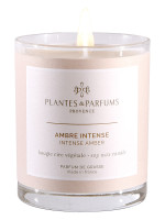 Pflanzliche Duftkerze Intensiver Amber 180g | PLANTES & PARFUMS