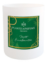 Bougie parfumée Forêt Enchantée 180g | PLANTES & PARFUMS